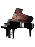 C7X (Polished Ebony), зображення 2